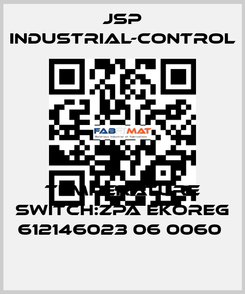 TEMPERATURE SWITCH:ZPA EKOREG 612146023 06 0060  JSP Industrial-Control