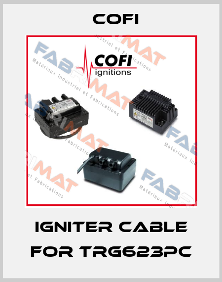 igniter cable for TRG623PC Cofi