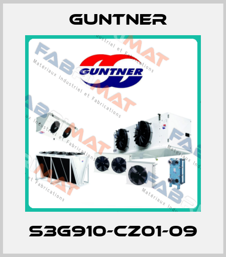S3G910-CZ01-09 Guntner