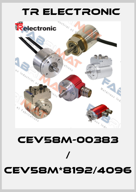 CEV58M-00383 / CEV58M*8192/4096 TR Electronic
