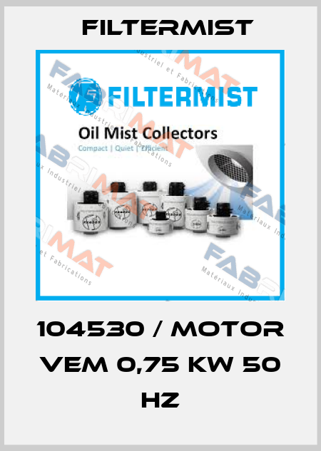104530 / Motor VEM 0,75 kW 50 Hz Filtermist