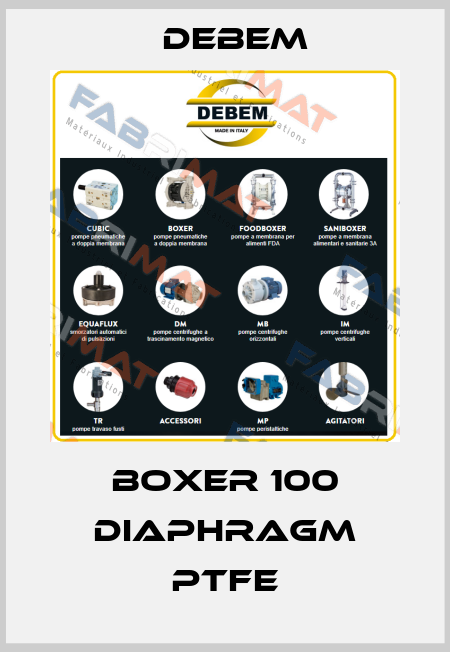 BOXER 100 DIAPHRAGM PTFE Debem