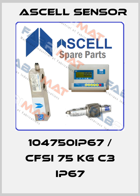 104750IP67 / CFSI 75 kg C3 IP67 Ascell Sensor