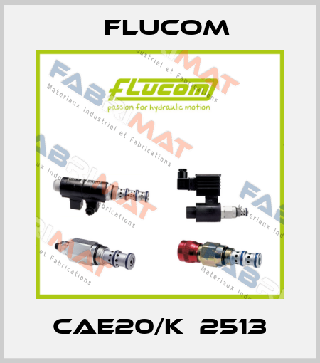 CAE20/K  2513 Flucom