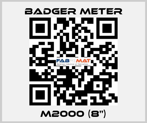 M2000 (8") Badger Meter