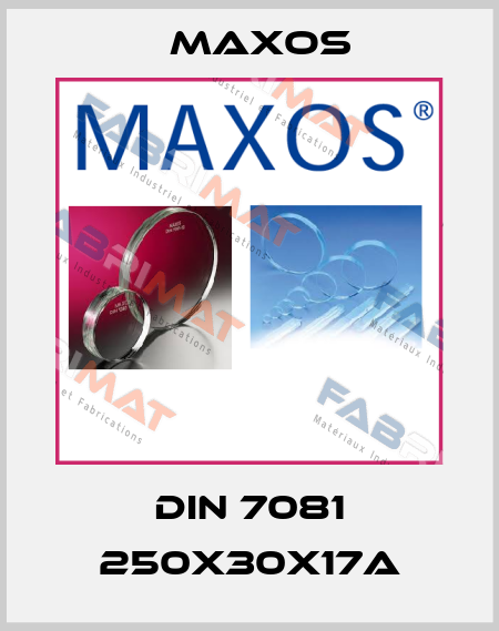 DIN 7081 250x30x17A Maxos