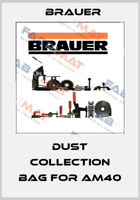 Dust collection bag for AM40 Brauer