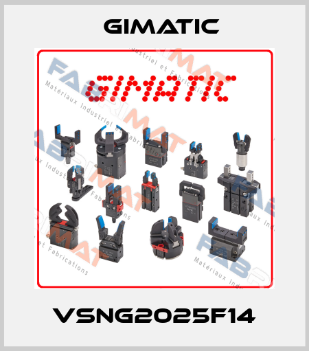 VSNG2025F14 Gimatic