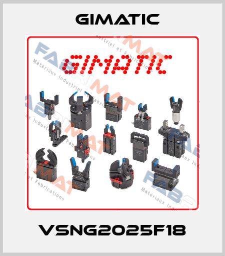 VSNG2025F18 Gimatic