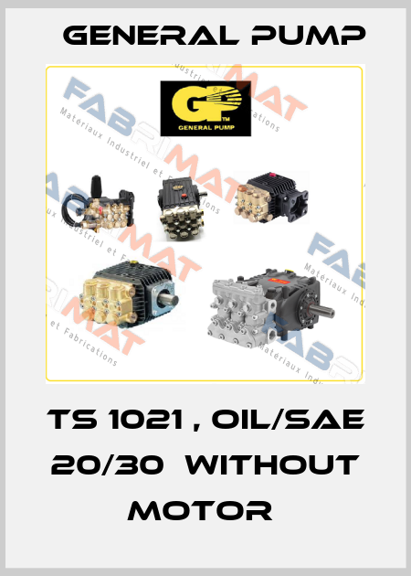 TS 1021 , OIL/SAE 20/30  WITHOUT MOTOR  General Pump