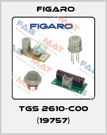 TGS 2610-C00 (19757) Figaro