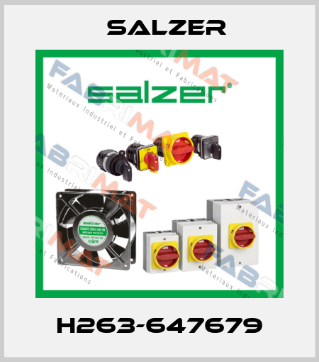 H263-647679 Salzer