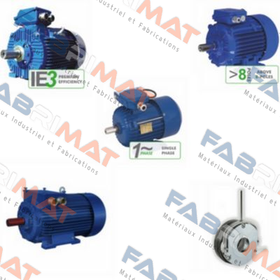 DS-Motor 2SIEK 63-4B Cantoni