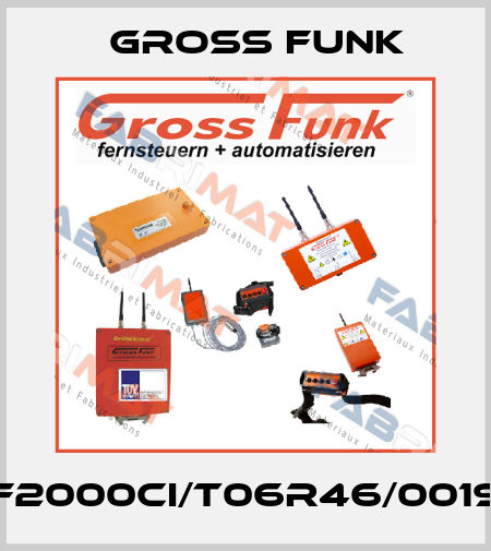 GF2000cI/T06R46/00196 Gross Funk