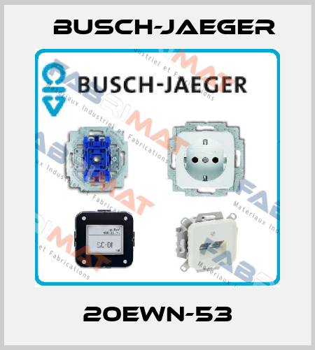 20EWN-53 Busch-Jaeger