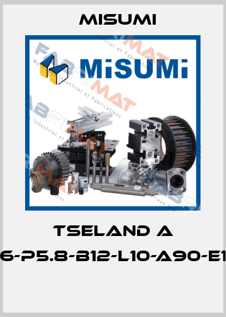TSELAND A 6-P5.8-B12-L10-A90-E1  Misumi