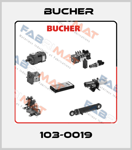 103-0019 Bucher