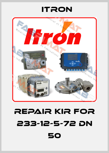 repair kir for 233-12-5-72 DN 50 Itron