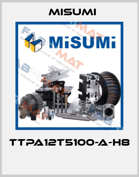 TTPA12T5100-A-H8  Misumi