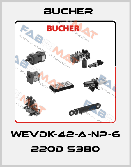 wevdk-42-A-NP-6 220D S380 Bucher