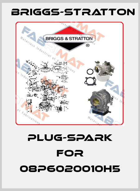 Plug-Spark for 08P6020010H5 Briggs-Stratton