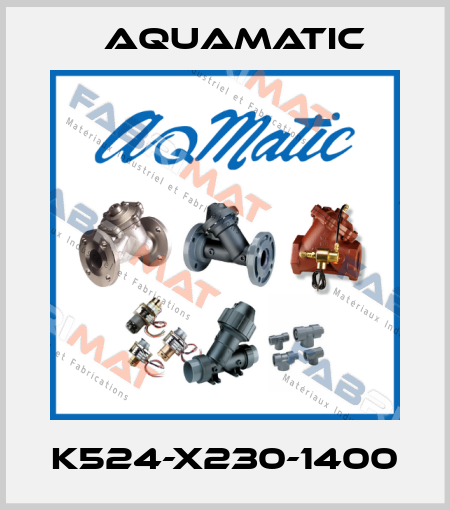 K524-X230-1400 AquaMatic