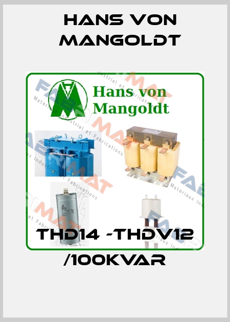 THD14 -THDV12 /100KVAR Hans von Mangoldt