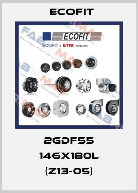 2GDF55 146x180L (Z13-05) Ecofit