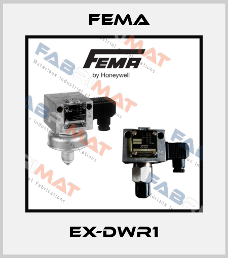 EX-DWR1 FEMA
