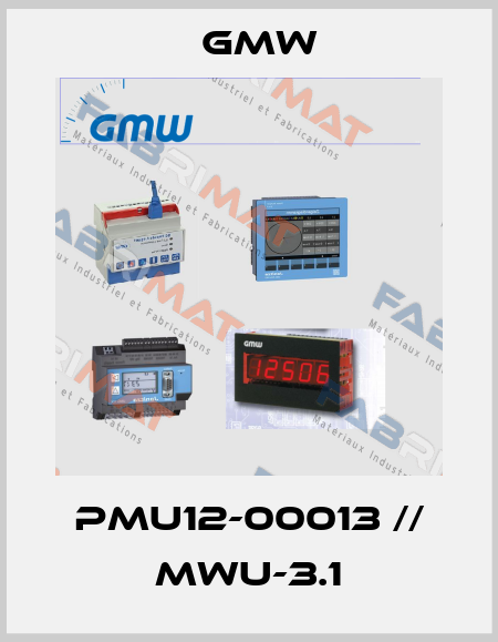PMU12-00013 // MWU-3.1 GMW