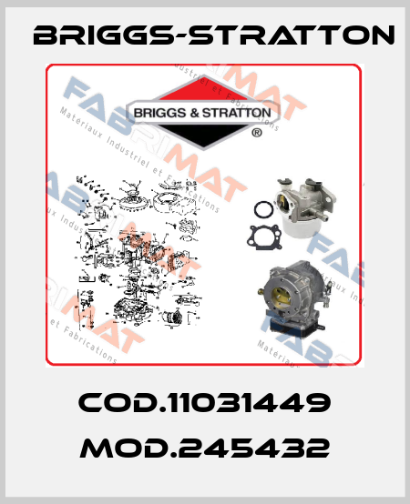 Cod.11031449 Mod.245432 Briggs-Stratton