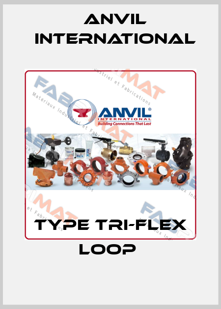 TYPE TRI-FLEX LOOP  Anvil International