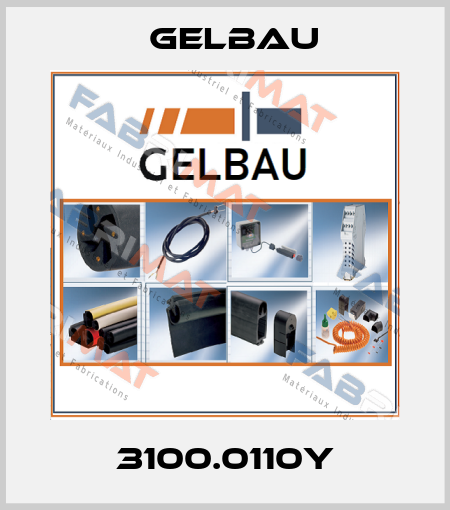 3100.0110Y Gelbau