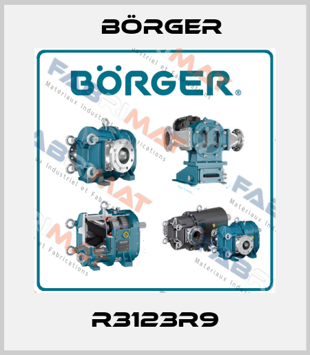 R3123R9 Börger