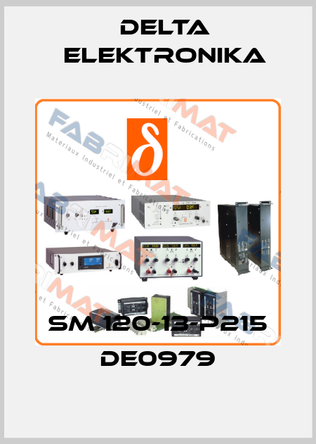 SM 120-13-P215 DE0979 Delta Elektronika