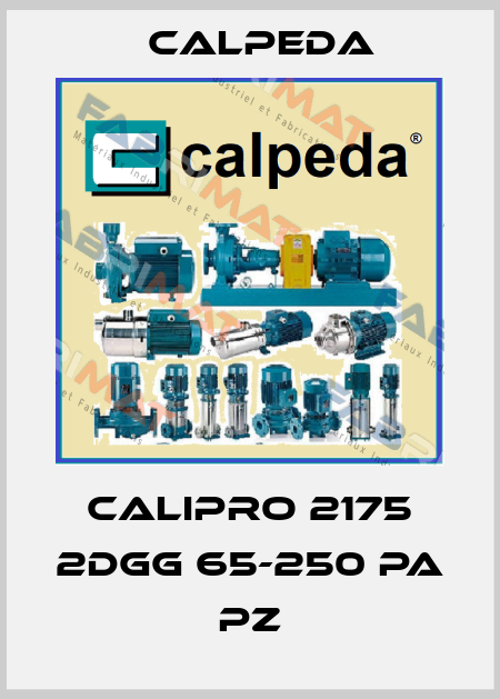 Calipro 2175 2DGG 65-250 PA PZ Calpeda