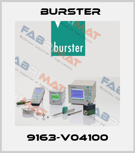 9163-V04100 Burster