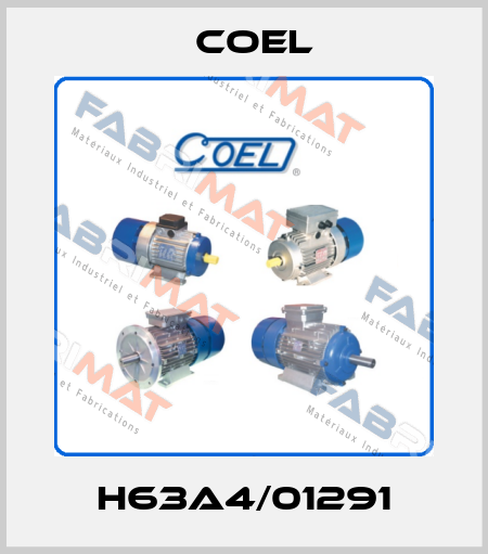H63A4/01291 Coel