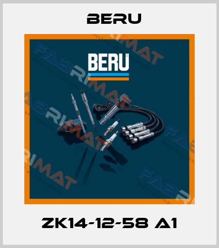 ZK14-12-58 A1 Beru