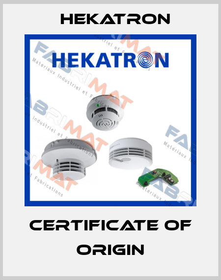 Certificate of Origin Hekatron