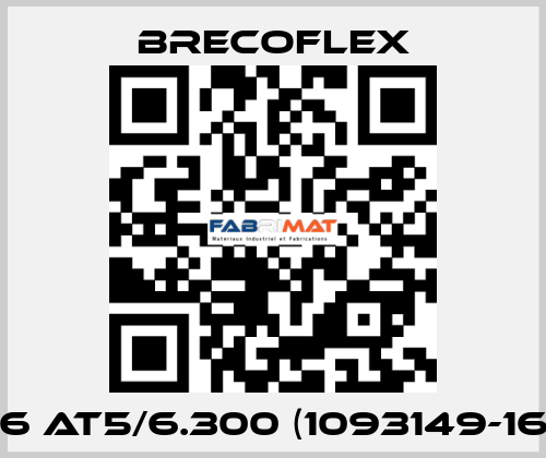 16 AT5/6.300 (1093149-16) Brecoflex