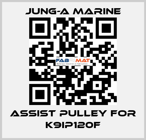 assist pulley for K9IP120F JUNG-A MARINE