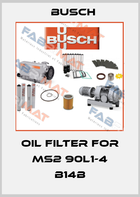 oil filter for MS2 90L1-4 B14B Busch