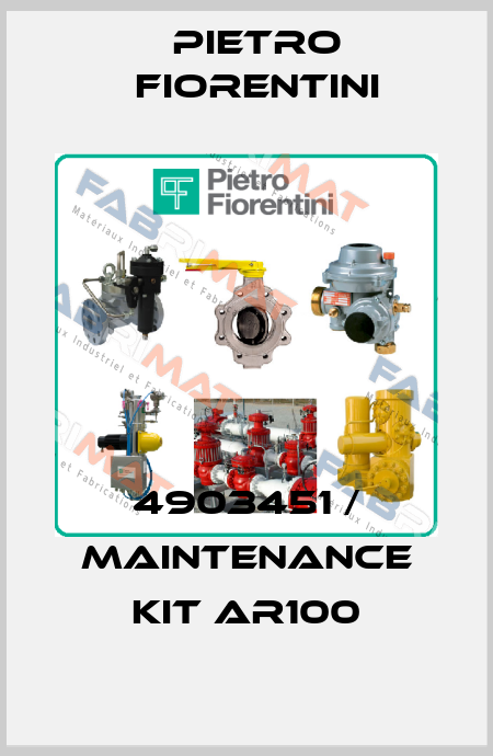 4903451 / Maintenance kit AR100 Pietro Fiorentini