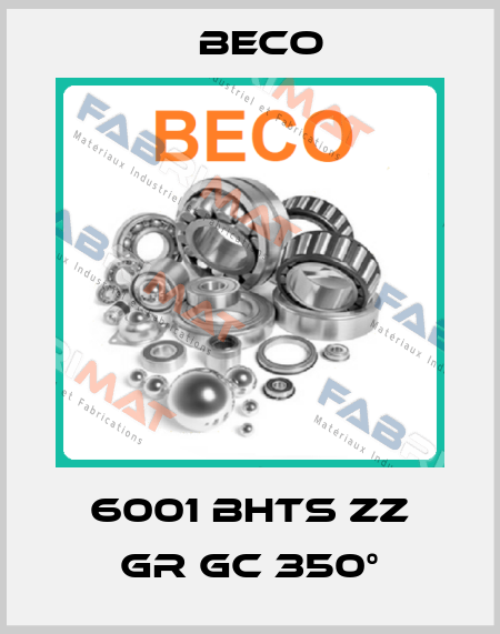 6001 BHTS ZZ GR GC 350° Beco