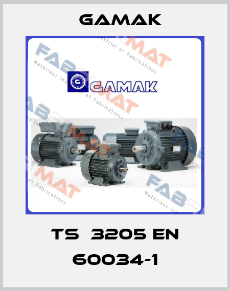 TS  3205 EN 60034-1 Gamak