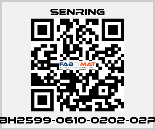 BH2599-0610-0202-02P SENRING