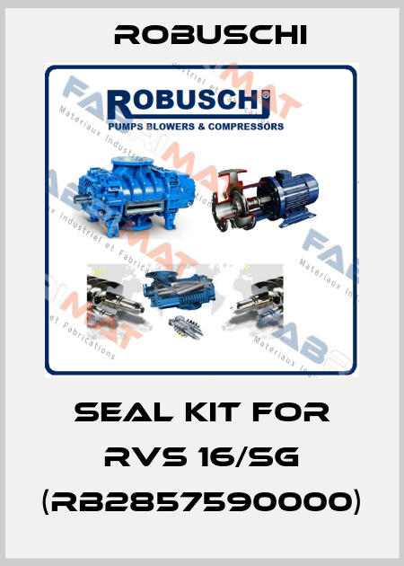 SEAL KIT FOR RVS 16/SG (RB2857590000) Robuschi