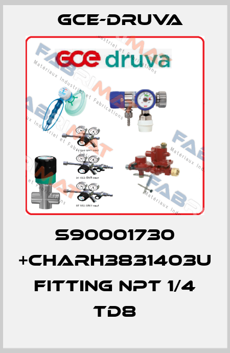 S90001730 +CHARH3831403U FITTING NPT 1/4 TD8 Gce-Druva