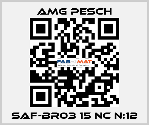 SAF-BR03 15 NC n:12 AMG Pesch